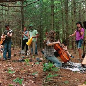 Stars Like Fleas photo provided by Last.fm