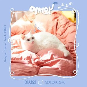 Meow the secret boy 어서와 (Original Television Soundtrack), Pt.3