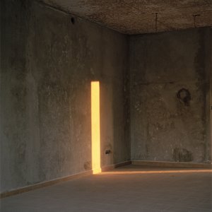 The Way Through the Forest