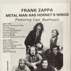 Metal Man Has Hornet's Wings