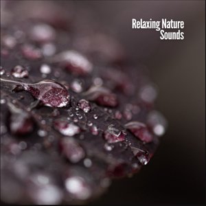 Relaxing Nature Sounds
