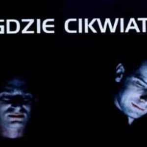 Awatar dla Gdzie Cikwiaty