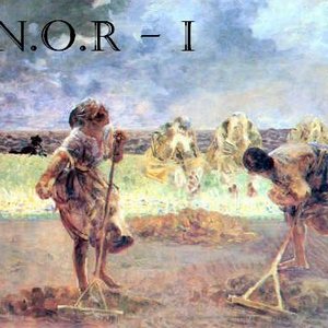 N.O.R 的头像