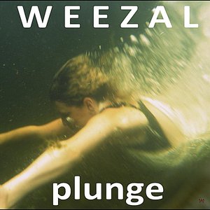 Plunge