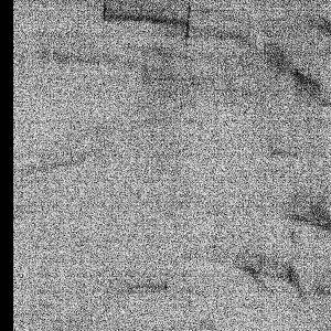 Parallel Darks