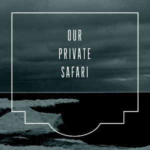 Our Private Safari