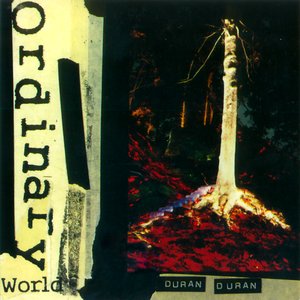 Image for 'Ordinary World'