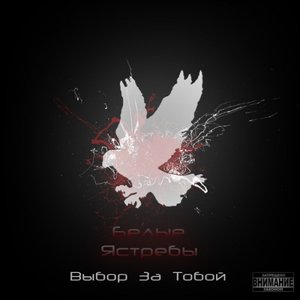 Image for 'Белые Ястребы'