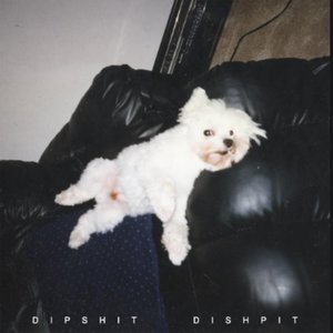 DIPSHIT