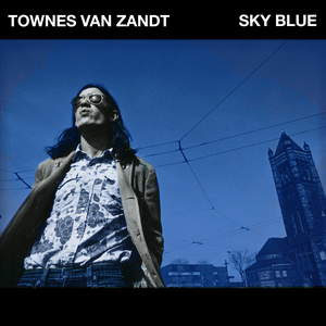 Townes Van Zandt - All I Need Lyrics - Zortam Music