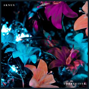 Sobreviver