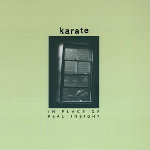 In Place of Real Insight cover