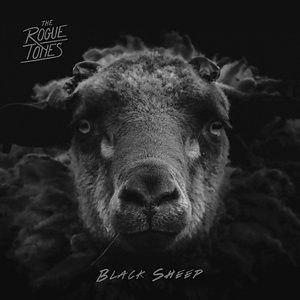 Black Sheep - Single