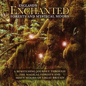 England's Enchanted Forests & Mystical Moors