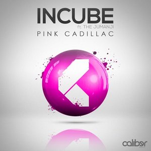 Pink Cadillac - Single