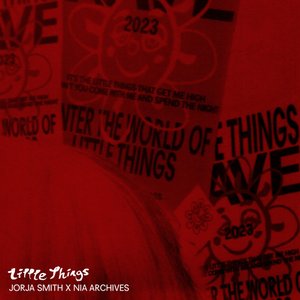 Little Things (Nia Archives Remix) - Single