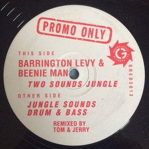 Two Sounds Jungle / Jungle Sounds Drum'n'bass (Tom & Jerry Remixes)