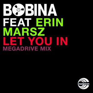 Avatar for Bobina feat. Erin Marsz