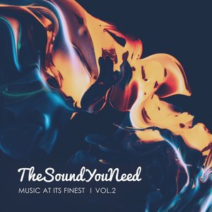 TheSoundYouNeed, Vol. 2