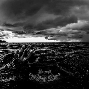 Thermohaline 的头像