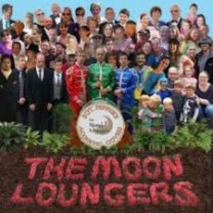 Sgt. Pepper's Acoustic Covers