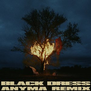 Black Dress (Anyma Remix) - Single