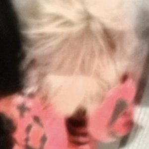spxxky 的头像