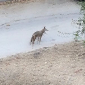 Tascam C-sides Remastered