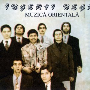 Îngerii negri 的头像