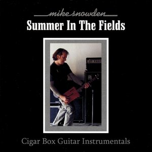 Summer in the Fields - Cigar Box Guitar Instrumentals