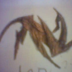 Avatar for Mad Sector of Mind