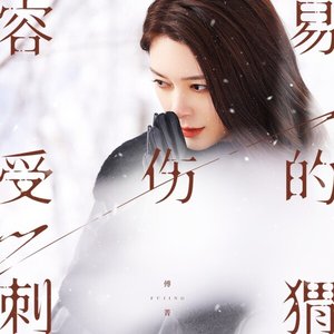容易受傷的刺蝟