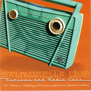 Remixes and Radio Cuts cover