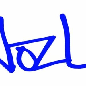 NozL 的头像