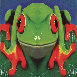 Totem cover