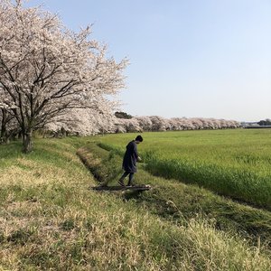 Here comes the spring