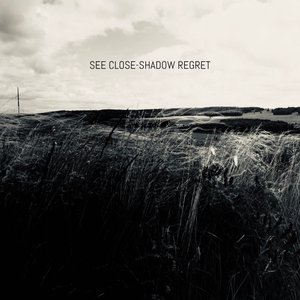 Shadow Regret