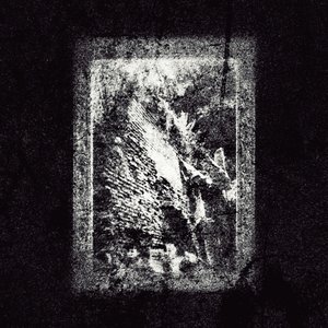 Demo MMXXI