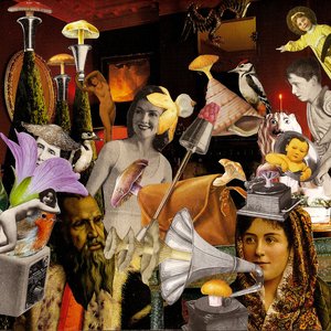 Kitchen Cynics & Grey Malkin 的头像