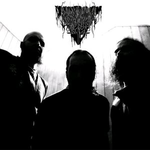 Avatar for Illumination