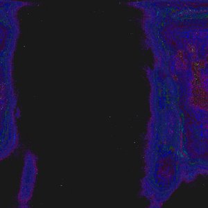 “wavegrave”的封面