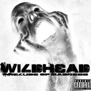 Image for 'Wildhead'