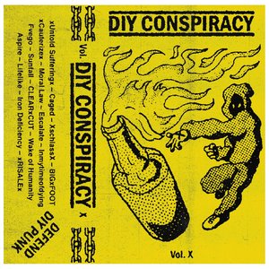 DIY Conspiracy Vol. X