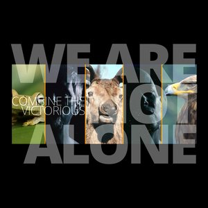 We Are Not Alone - Single