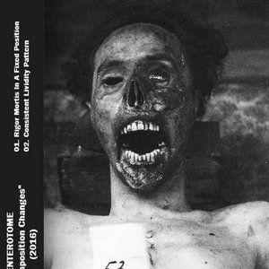 Decomposition Changes
