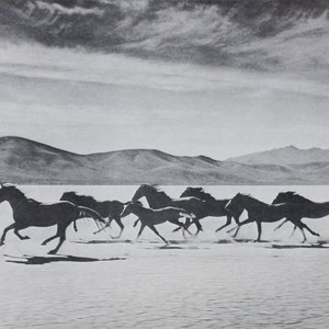 Avatar for sonidos de la naturelaza