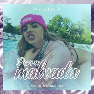 Perra Malvada - Single