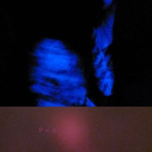 Dreamer's Drug EP