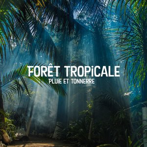 Forêt tropicale