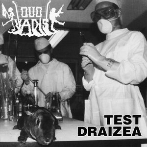 Test Draizea